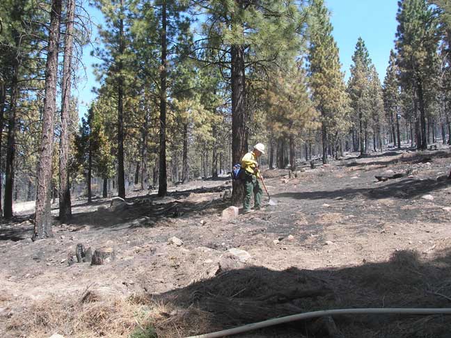 Calpine fire suppression effort