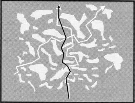 SPLAT Diagram -- Modified